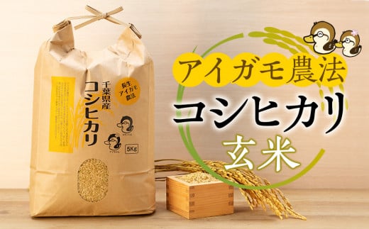 A05-004 アイガモ農法によるお米（玄米30kg） 707986 - 千葉県長生村