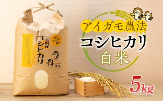 A01-001 アイガモ農法によるお米（白米5kg） 707301 - 千葉県長生村