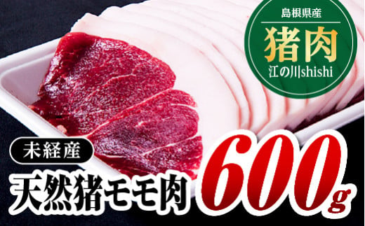 江の川shishi 未経産 猪肉 600g AI-1 いのしし肉 イノシシ肉 モモ肉 ジビエ メス 553544 - 島根県江津市