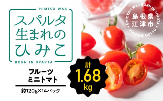 スパルタ生まれのひみこ ミニトマト 約120g×14パック【配送不可：離島】 GC-20 フルーツミニトマト