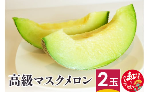 高級マスクメロン 2玉 山形県産 果物 フルーツ
