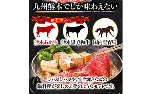 熊本県産 和牛 と 馬肉 しゃぶしゃぶ 食べ比べ セット 計900g 黒毛和牛 あか牛