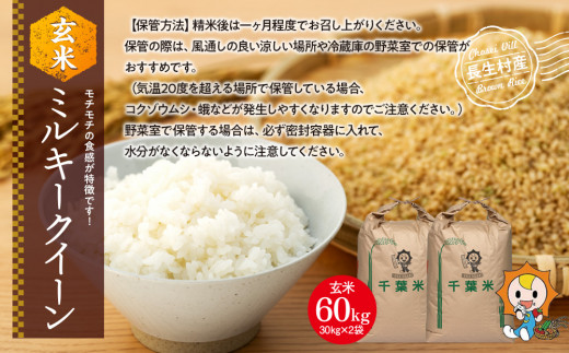 ミルキークィーン 米 玄米 お米60キロ-