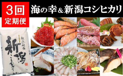 【定期便】日本海鮮魚センター厳選！海の幸＆コシヒカリ5kgセット（全3回）