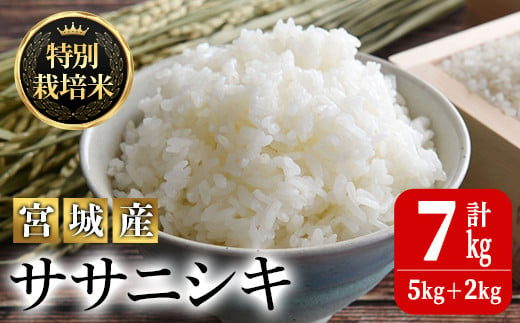 特別栽培米 ササニシキ 7kg ta037【JA新みやぎ】