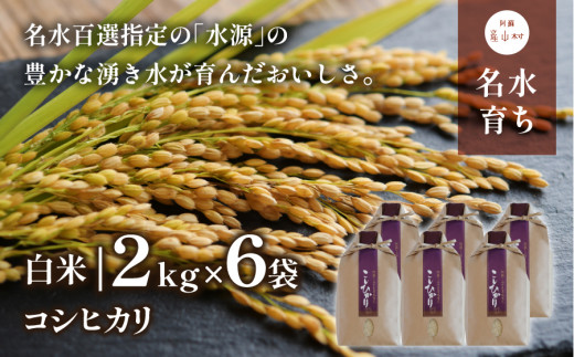 ＜令和5年米＞熊本県阿蘇うぶやま産こしひかり2kg×6袋