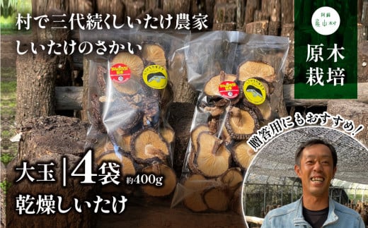 阿蘇・産山村産　原木乾燥しいたけ　大玉400g(100g×4袋)