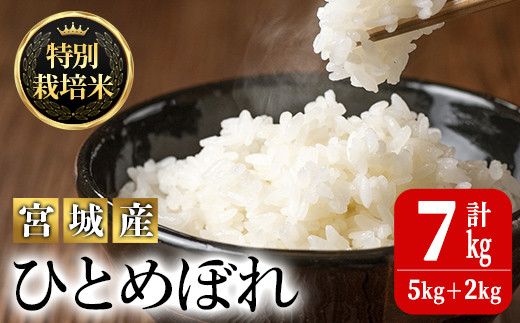 特別栽培米 ひとめぼれ 7kg ta038【JA新みやぎ】