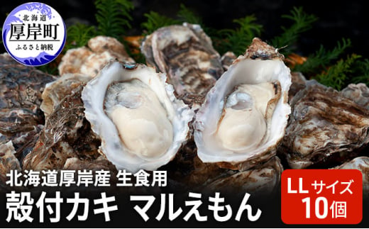 北海道 厚岸産 生食用 殻付カキ LLサイズ 10個 マルえもん 牡蠣 [№5863-0889]