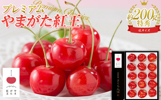 《限定品》 ☆プレミアムやまがた紅王☆ 4Lサイズ 15粒（約200g） 特秀品 FSY-0613 773149 - 山形県山形県庁