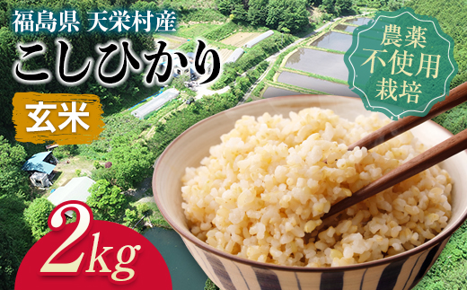 自然農法で育ったお米「こしひかり」玄米2kg F21T-142 822939 - 福島県天栄村
