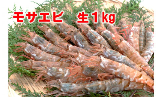 1143 【魚倉】モサエビ 生1kg(中～大サイズ) 817644 - 鳥取県鳥取市