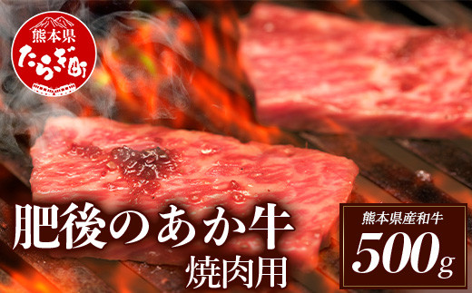 ＜多良木町＞熊本県産 肥後のあか牛 焼肉用 500g 牛肉 冷凍