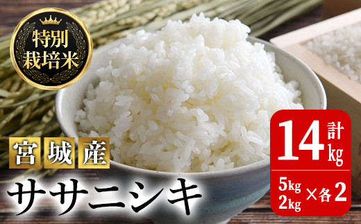 ＜令和5年産＞特別栽培米 ササニシキ 14kg ta222【JA新みやぎ】