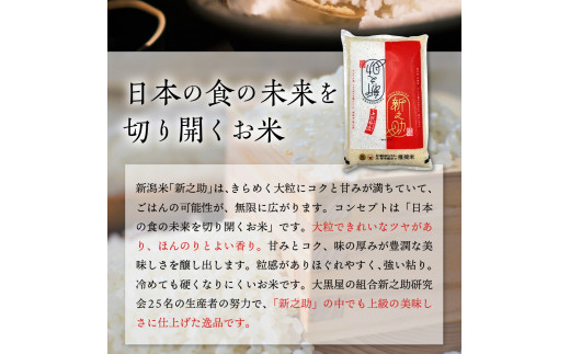 2025年4月中旬発送】新潟県上越妙高産 新之助 20kg - 新潟県妙高市｜ふるさとチョイス - ふるさと納税サイト