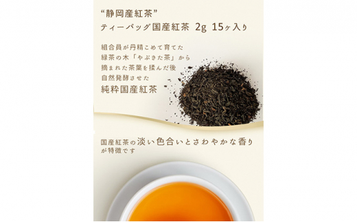 静岡茶 おすすめ深蒸し茶 バラエティセット（お茶：10種・茶筒1本