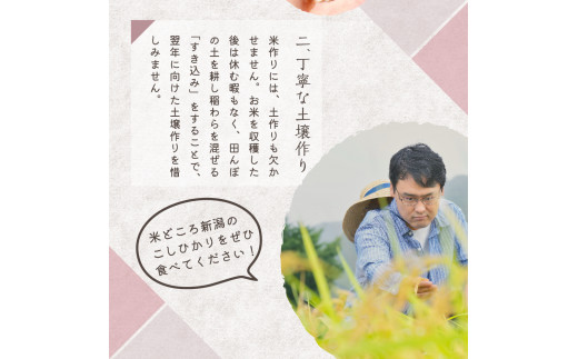 2024年5月上旬より発送】新潟県矢代産コシヒカリ10kg(5kg×2袋)×3回（計