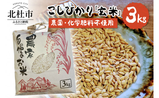 【令和6年度新米先行予約】【令和6年度米】白州米 コシヒカリ『玄米』3kg 833753 - 山梨県北杜市