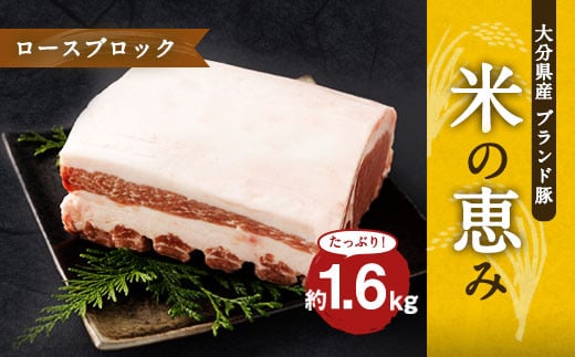 大分県産ブランド豚「米の恵み」ロースブロック 1.6kg (1.6kg×1) 豚肉 600866 - 大分県竹田市
