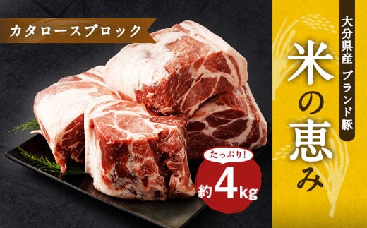 大分県産ブランド豚「米の恵み」カタロースブロック 4.0kg (2.0kg×2) 豚肉 肩ロース 600875 - 大分県竹田市