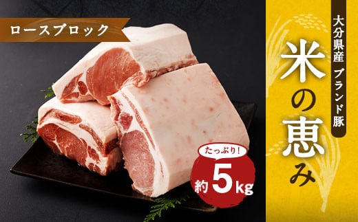 大分県産ブランド豚「米の恵み」ロースブロック 5.0kg (2.5kg×2) 豚ロース 豚肉 600874 - 大分県竹田市