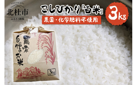 惑星科学者 発芽玄米ご飯で生き残る！ 玄米10kg ４年産コシヒカリ 特別