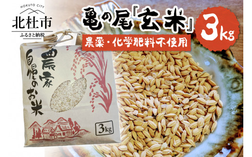 【令和6年度新米先行予約】【令和6年度米】白州米 亀の尾『玄米』3kg 833758 - 山梨県北杜市