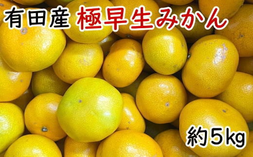 有田産極早生みかん約5kg（サイズ混合）※2025年10月中旬～2025年11月上旬頃発送予定（お届け日指定不可）/ みかん フルーツ 果物 柑橘 ミカン 和歌山県 有田みかん 有田 すさみ町 くだもの【tec929A】 1525599 - 和歌山県すさみ町