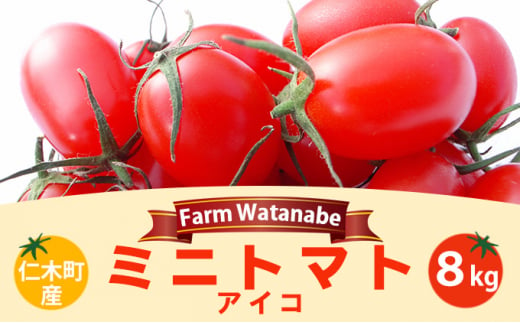 トマトのふるさと納税 カテゴリ・ランキング・一覧【ふるさとチョイス