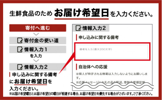 石州特大鯖寿司 ２尾 鯖寿司 江津名物 サバ寿司 〆鯖 しめさば - 島根