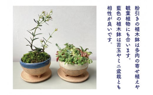 BU001　益子焼　植木鉢セット(植木鉢とトレーのセット)☓2セット　多肉植物　寄せ植え　苔玉、ミニ盆栽に