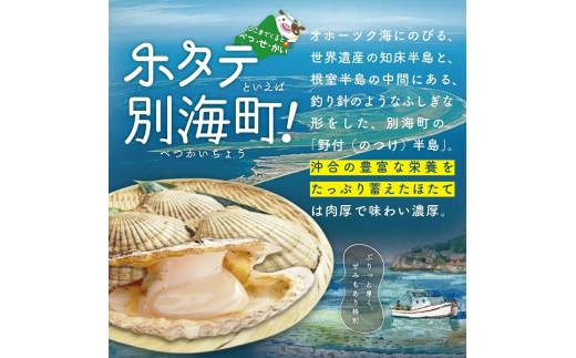 ホタテ禁輸措置生産地支援品】【訳あり/サイズ不揃い】ホタテ 大粒 40