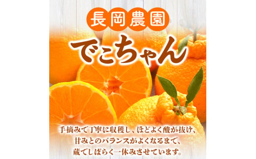 和歌山県日高川町のふるさと納税 【先行受付】でこちゃん( デコポン )と同品種 不知火 11玉 長岡農園《2025年2月中旬-4月上旬頃出荷》 和歌山県 日高川町 不知火 旬 柑橘 フルーツ 果物