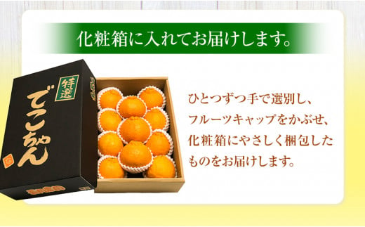 和歌山県日高川町のふるさと納税 【先行受付】でこちゃん( デコポン )と同品種 不知火 11玉 長岡農園《2025年2月中旬-4月上旬頃出荷》 和歌山県 日高川町 不知火 旬 柑橘 フルーツ 果物