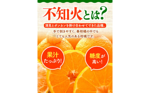 和歌山県日高川町のふるさと納税 【先行受付】でこちゃん( デコポン )と同品種 不知火 11玉 長岡農園《2025年2月中旬-4月上旬頃出荷》 和歌山県 日高川町 不知火 旬 柑橘 フルーツ 果物