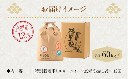 令和5年産新米】《定期便》5kg×12回 60kg 特別栽培米 ミルキークイーン