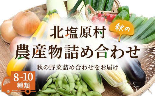 秋の農産物詰め合わせ「8～10種」(2023年9月より順次発送) ふるさと