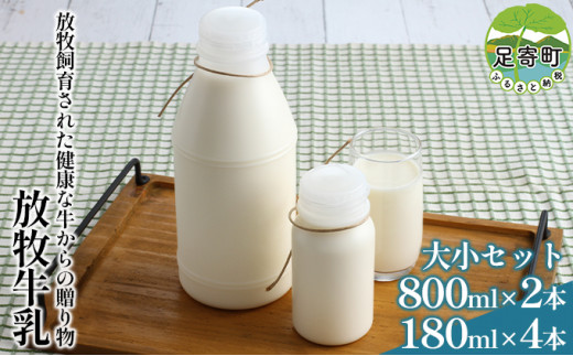 すこやか 800ml 2本セット - cadeauegypt.com