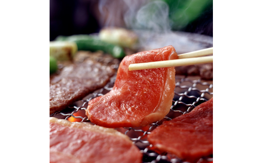 肥後の赤牛 焼肉用 500g あか牛 牛肉 肉 焼き肉 やきにく 冷凍 国産 831704 - 熊本県西原村