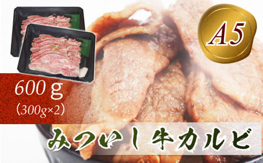 北海道産 黒毛和牛 みついし牛 A5 カルビ 計 600g ( 300g × 2 ) 和牛 牛肉 三石牛 焼肉 バーベキュー BBQ