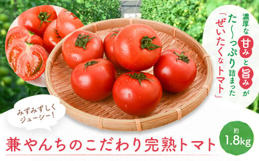 P74002 ぜいたくトマト(約1.8kg)