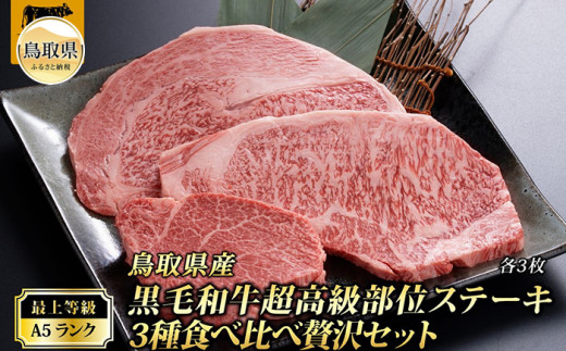 F23-17 最上等級A5ランク鳥取和牛超高級部位ステーキ3種食べ比べ贅沢セット 587588 - 鳥取県鳥取県庁