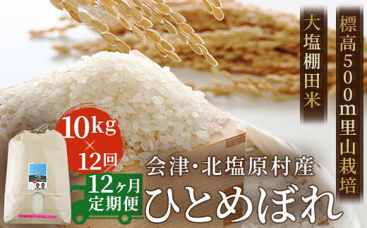 玄米福島県産ひとめぼれ60kg(30kg×2袋) - 米