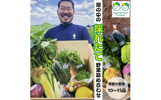 【Vegetable boys Company】畑の中の採れたて野菜詰め合わせセット 322234 - 埼玉県伊奈町