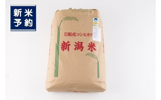 新米受付・令和5年産米】NG4005 新潟県村上市産 特別栽培米コシヒカリ
