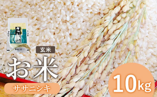 『令和５年産』お米　ササニシキ　玄米　10Kg【12008】