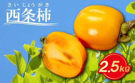 とびっきり甘い西条柿 2.5kg