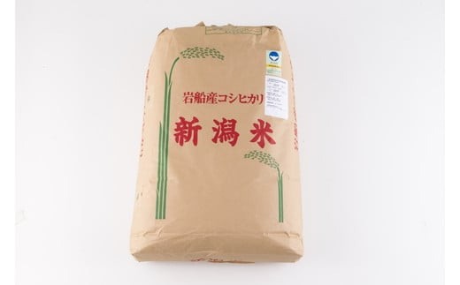 令和4年産 新潟県 岩船産コシヒカリ 玄米30kg - 米