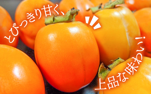 柿の中でもとびっきりの甘さで、その肉質はとても上品で緻密です。