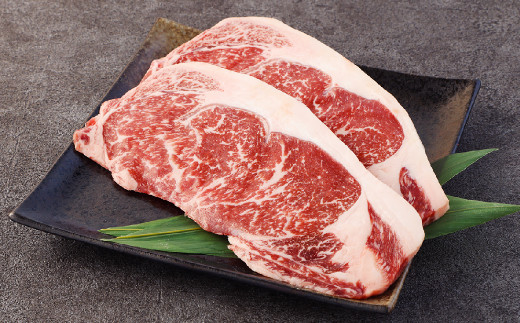 あか牛 サーロイン ステーキ 400g (200g×2枚) GI 牛肉
